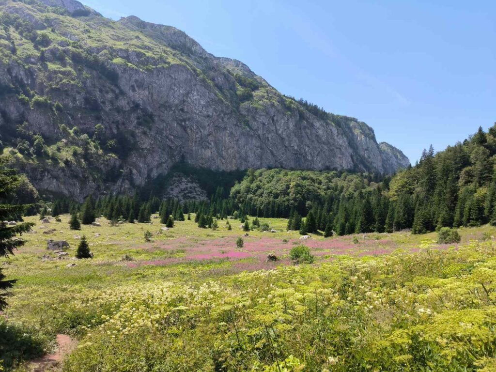 nacionalni park sutjeska